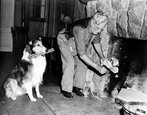 Odv&aacute;žna Lassie (Pal/Lassie, Frank Morgan, Courage of Lassie)